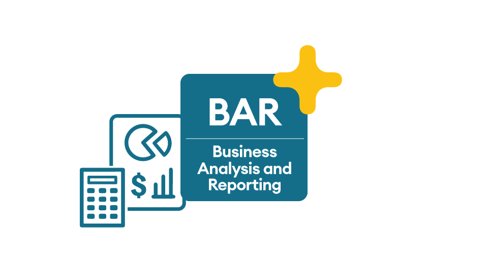 Business Analysis and Reporting